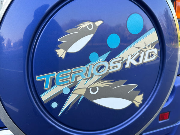 1999 Daihatsu Terios Kid Aerodown J111G