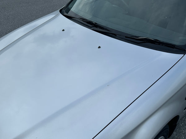 1996 Civic Ferio EK5 5MT 4WD RTI