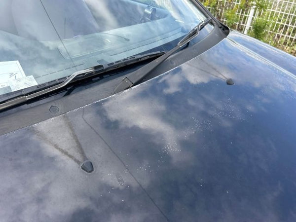 1992 Honda Civic ETI EG4 5MT